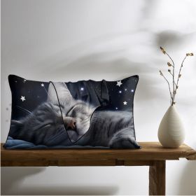 2 Pcs Cats And Starry Sky Art Bedroom Satin Print Soft Skin Friendly Pillowcases Suitable For All Seasons (Option: 51x74cm-Black)